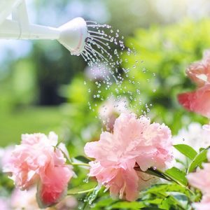 about-us-1.jpg about-us-1.jpg